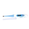 Picture of Digital Thermometer