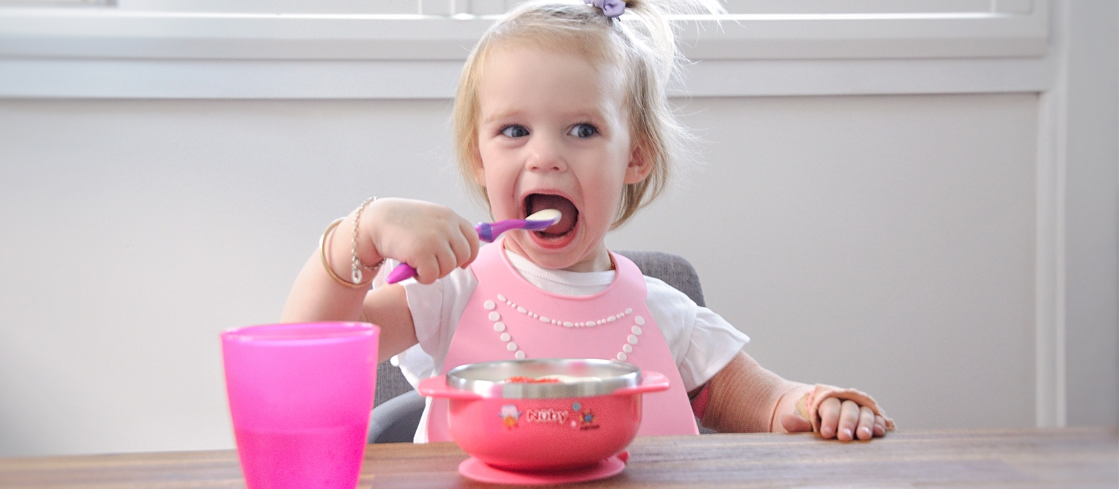 Stainless Steel Bowl & Silicone Bib