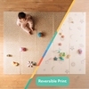 Picture of Reversible Floor Mat | Rainbows & Sky